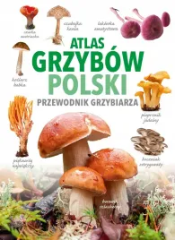 atlas-grzybow-polski