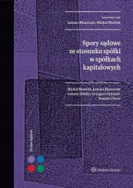 spory-sadowe-ze-stosunku-spolki-w-spolkach-kapitalowych