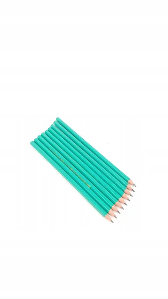 olowek-evolution-eco-bez-gumki-12szt-bic-waga-z-opakowaniem-0-1-kg