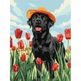 malowanie-po-numerach-uroczy-labrador-30x40cm
