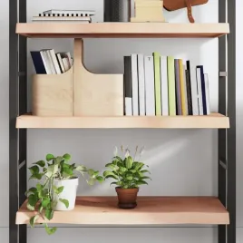 vidaxl-polka-80x40x-2-6-cm-surowe-lite-drewno-debowe
