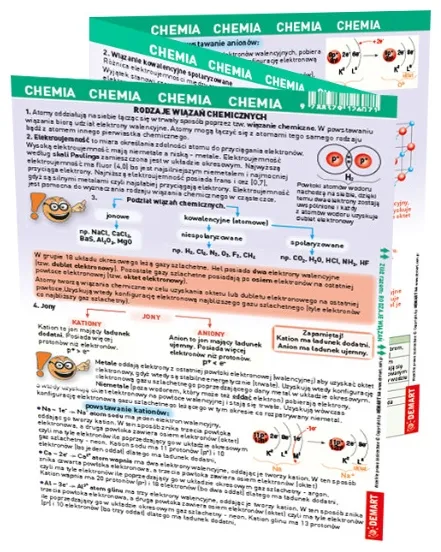 maxi-sciaga-chemia