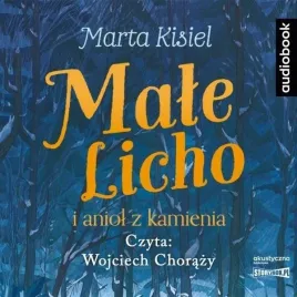 male-licho-i-aniol-z-kamienia-audiobook