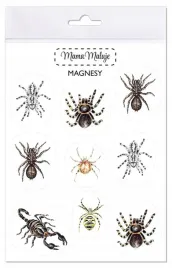 magnesy-pajeczaki