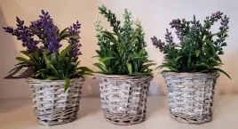 dkd-home-decor-roslina-3-sztuki-lawenda-7-x-20-x-7-cm