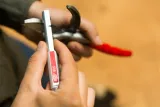 oselka-felco-905-stan-nowy-zasilanie-reczne