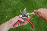 oselka-felco-905-marka-euroflora-stan-nowy