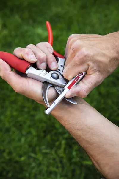 oselka-felco-905-marka-euroflora-zasilanie-reczne