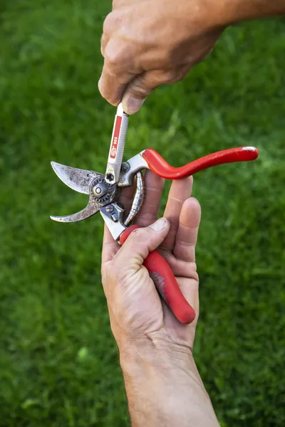 oselka-felco-905-marka-euroflora-kod-producenta-ose-00015