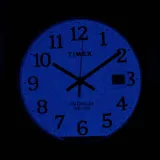 timex-zegarek-easy-reader-classic-tw2w54500-rodzaj-analogowe