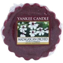 yankee-candle-madagascan-orchid-wosk-zapachowy-22-g