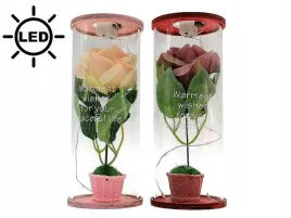 roza-w-tubie-led-mix