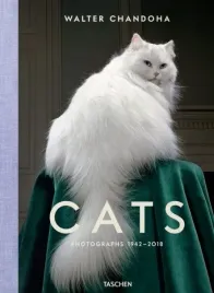 walter-chandoha-cats-photographs-1942-2018-wer-angielska