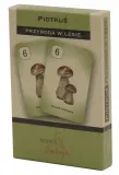 karty-piotrus-przyroda-w-lesie