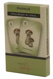 karty-piotrus-przyroda-w-lesie