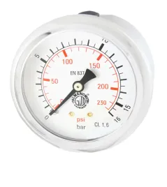 manometr-osiowy-1-4-63mm-16bar-gliceryna-tylny