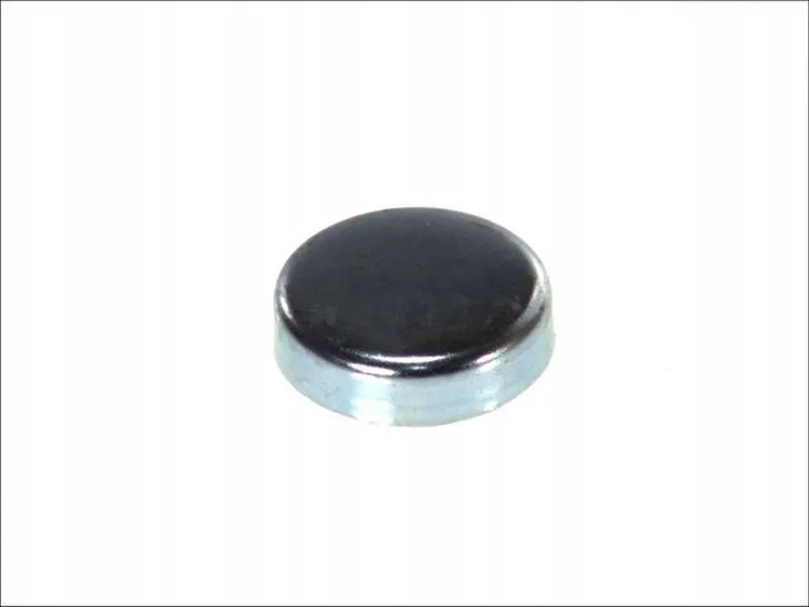 zaslepka-bloku-vw-38mm-topran-109-378-stan-nowy-jakosc-czesci-zgodnie-z-gvo-q-oryginal-z-logo-producenta-czesci-oem-oes