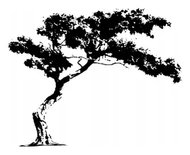 naklejka-na-sciane-drzewko-drzewa-drzewo-pustynne