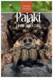 pajaki-i-inne-pajeczaki-spotkania-z-przyroda-