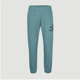 meskie-spodnie-future-surf-jogger-s