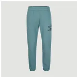 meskie-spodnie-future-surf-jogger-l