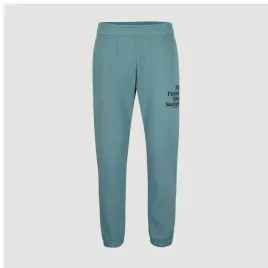 meskie-spodnie-future-surf-jogger-xxl