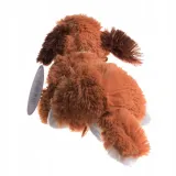 bernardyn-z-glosem-28cm-certyfikaty-opinie-atesty-ce