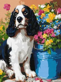 malowanie-po-numerach-uroczy-spaniel-30x40cm
