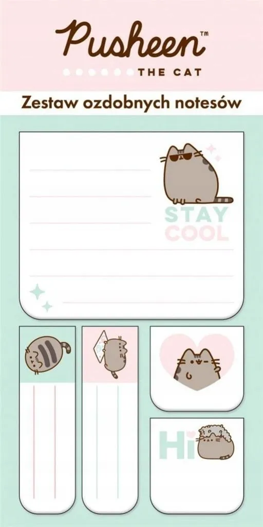 zestaw-5-notesow-ozdobnych-pusheen