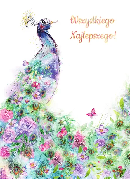 karnet-b6-paw-2-stan-opakowania-oryginalne