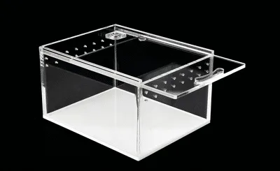 terrarium-happet-054-l