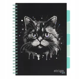 kolonotatnik-strigo-pads-animals-kot-a4-kratka-czarny-100-kartek-80g