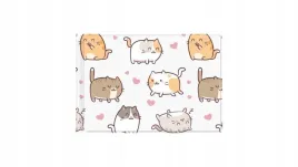 okladka-na-dokumenty-ucznia-male-kittens