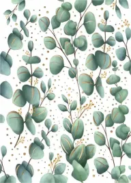 karnet-b8-mini-eukaliptus