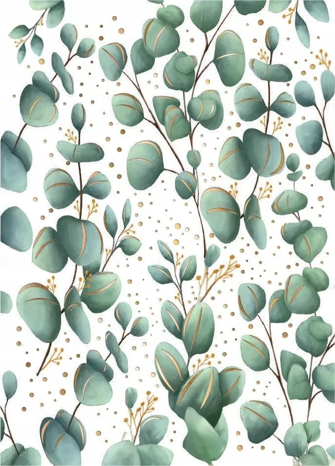 karnet-b8-mini-eukaliptus