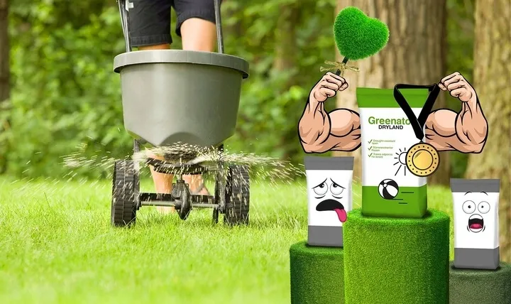 trawa-na-tereny-suche-odporna-na-susze-nasiona-na-gleby-suche-50m2-1kg-cykl-rozwojowy-rosliny-wieloletnia