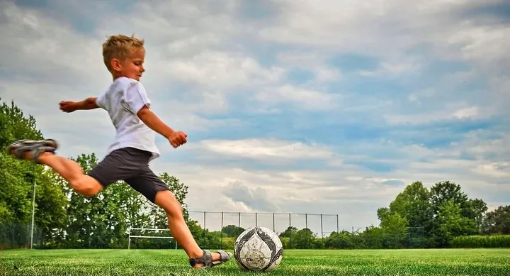 trawa-sportowa-boiskowa-samozageszczajaca-odporna-na-deptanie-gf-sport-5kg-przeznaczenie-trawa-dekoracyjna-trawa-ogrodowa-trawa-sportowa-trawa-uniwersalna-inne-mieszanka-traw