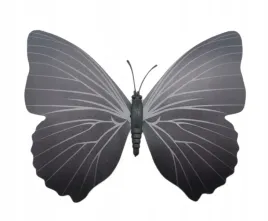 magnes-motyl-3d-ozdobny-na-lodowke-m59-czarny