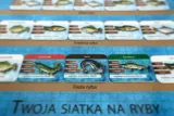 zawody-wedkarskie-rodzaj-podstawa
