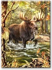 diamentowa-mozaika-los-w-lesie-no-1008650