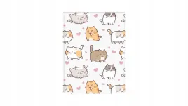okladka-na-dokumenty-ucznia-pion-kittens