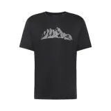 peak-graphic