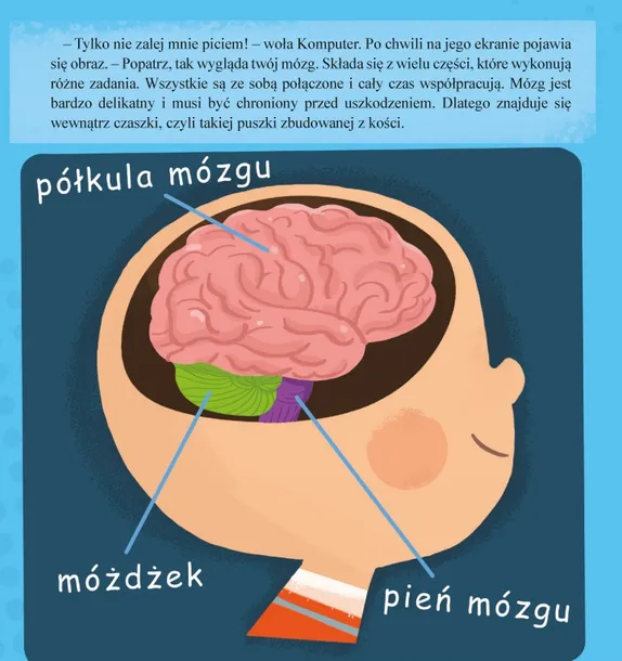 mozg-wojciech-grajkowski-tytul-mozg