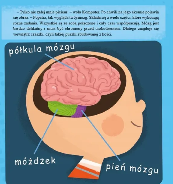 mozg-tytul-mozg