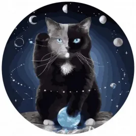 malowanie-po-numerach-okragle-kot-w-kosmosie-40
