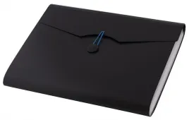 teczka-a4-12-przegrodek-czarna