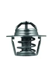 mahle-original-termostat-srodka-chlodzacego-tx-91-89d