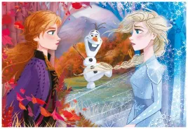 puzzle-60-maxi-super-kolor-frozen-2-26452