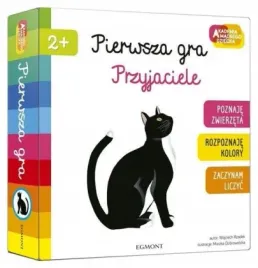 pierwsza-gra-przyjaciele-akademia-madrego-dziecka