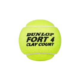 fort-clay-court